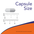 l theanine 100 mg veg capsules l theanine 100 mg veg capsules